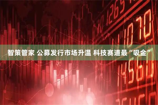 智策管家 公募发行市场升温 科技赛道最“吸金”