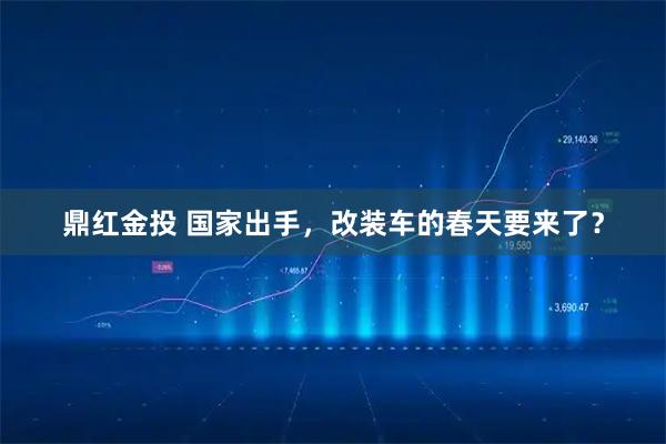 鼎红金投 国家出手，改装车的春天要来了？