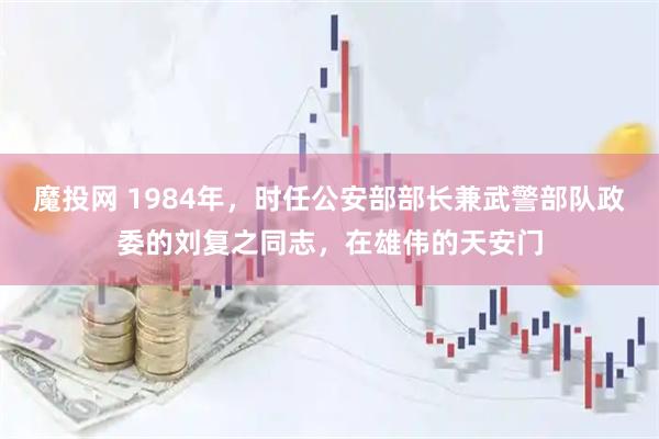 魔投网 1984年，时任公安部部长兼武警部队政委的刘复之同志，在雄伟的天安门