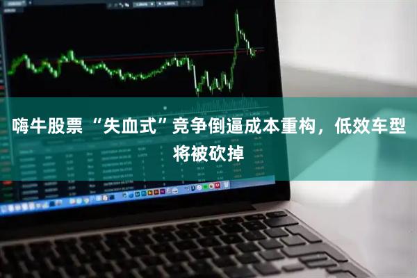 嗨牛股票 “失血式”竞争倒逼成本重构，低效车型将被砍掉